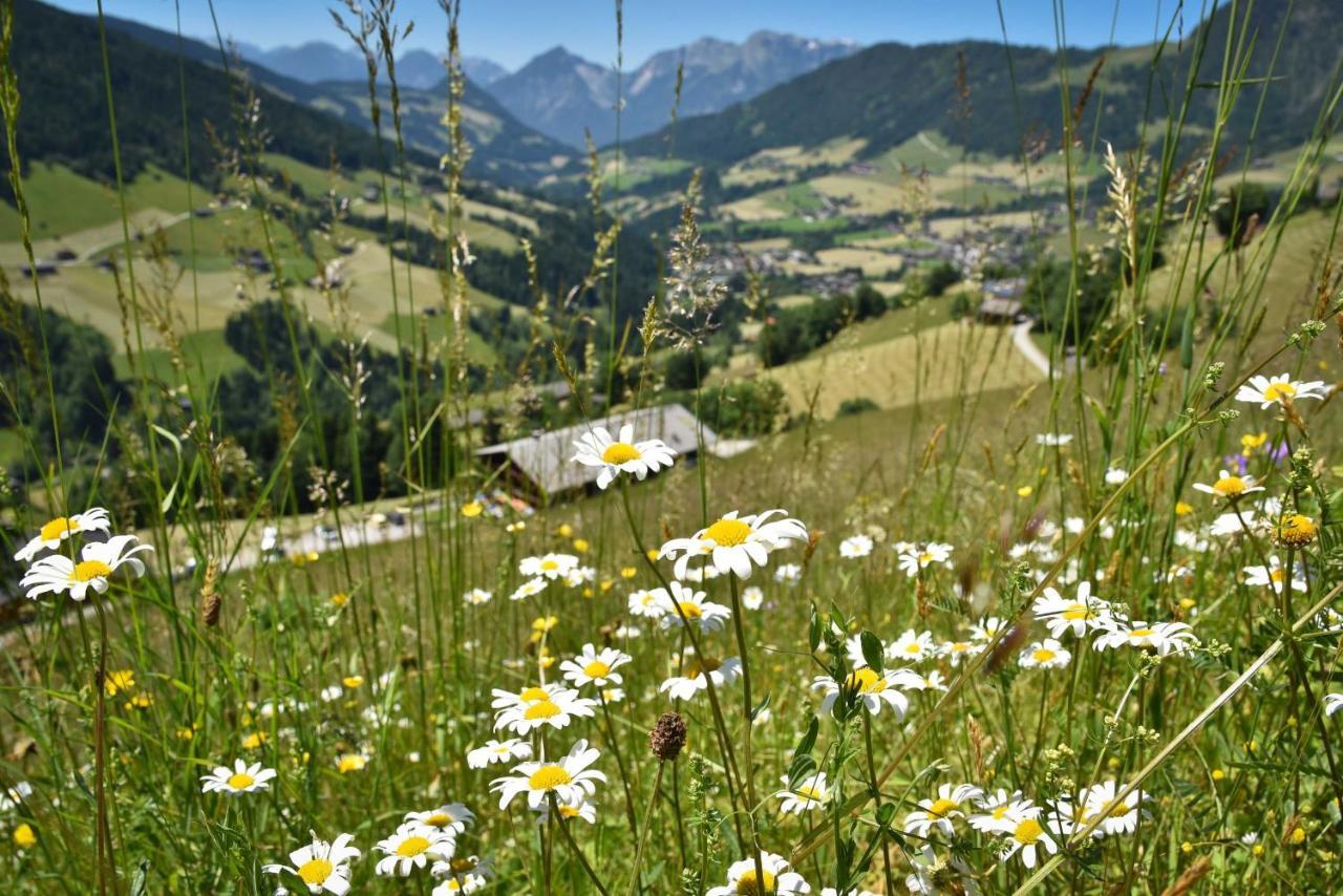 Haus Dorferstuck Lejlighed Alpbach Eksteriør billede